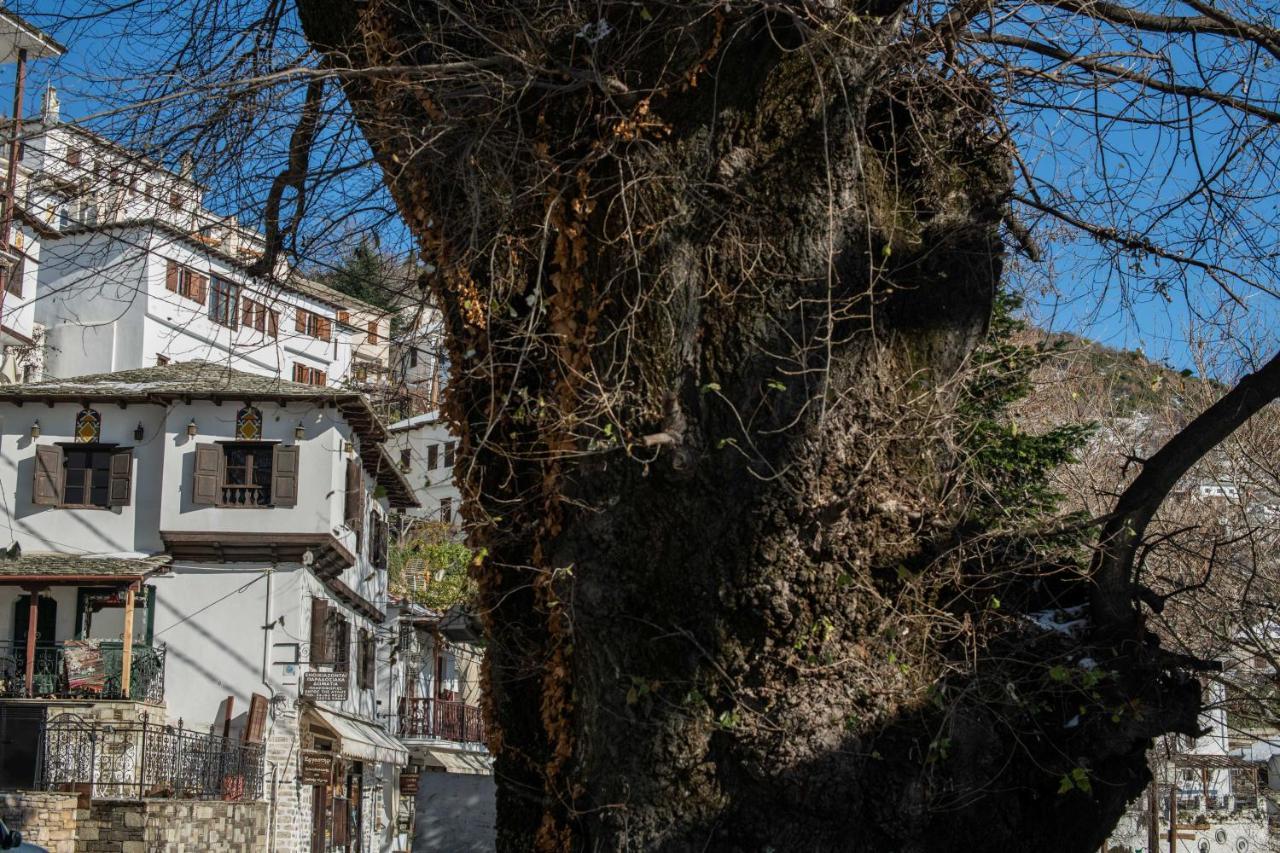 Philos Guesthouse มากรินิตซา ภายนอก รูปภาพ